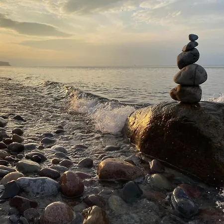 Ostseemoewe *