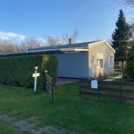 Ostseemoewe Росток
