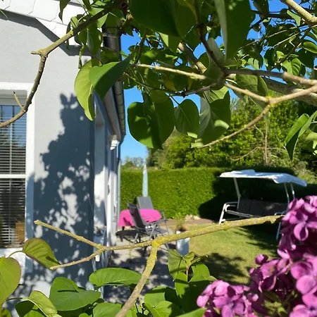 Ostseemoewe Ferienhaus