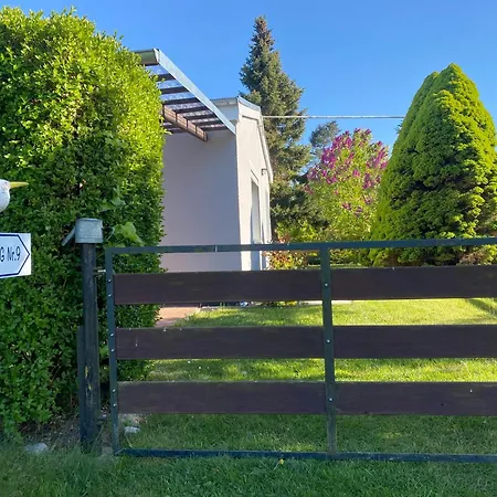 Ostseemoewe * Rostock